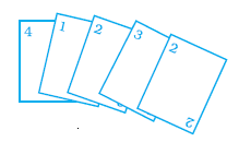 Page 45 Chapter 2 Class 8th NCERT Exemplar